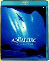 The Aquarium 2007