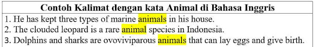 Contoh Kalimat Animal di Bahasa Inggris dan Pengertiannya