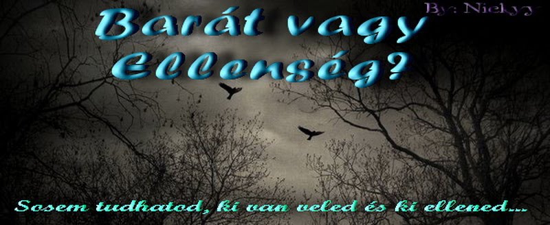 Barát vagy Ellenség?