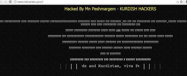 Turkish government website Hacked by kurdish hacker for bombarding Kurdistan Regions