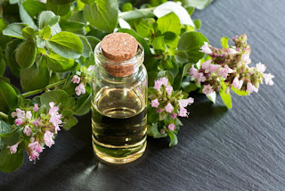 Aceite de Oregano Para Las Varices