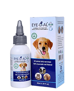 cat eye infection drops