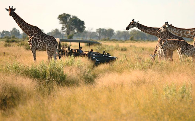 Nxabega Okavango Tented Camp Botswana