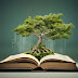 The Book of Life: Meaning, Symbolism, and Spiritual Significance Explained