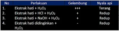 Soal UN Biologi dan Pembahasan Materi Tentang Enzim dan Metabolisme