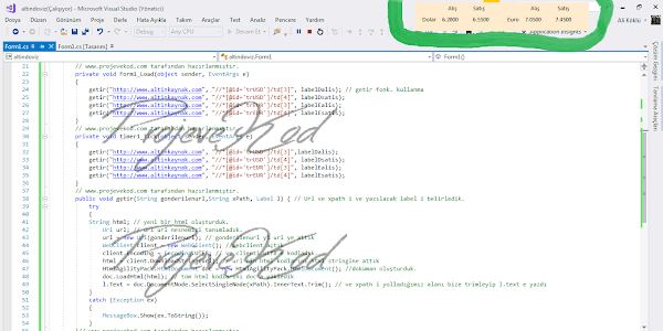 C# Sitenin Bir Bölümünü Programa Ekleme - Döviz vs.