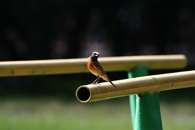 nature and spirituality, finding spirituality in nature