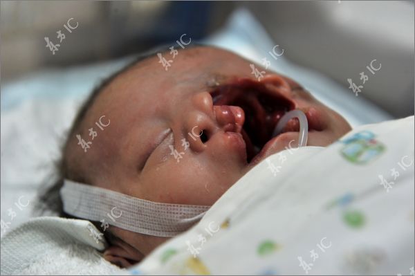 cute newborn baby girl