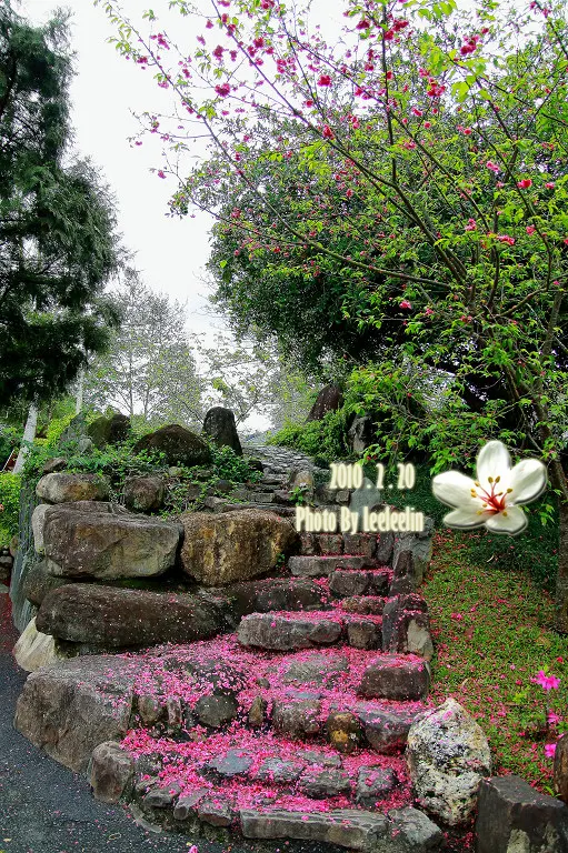 南投埔里親子遊｜牛耳石雕公園~戶外藝術館