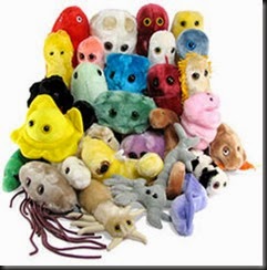 microbios_gigantes