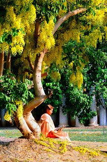 Buddhist Nun and meditation