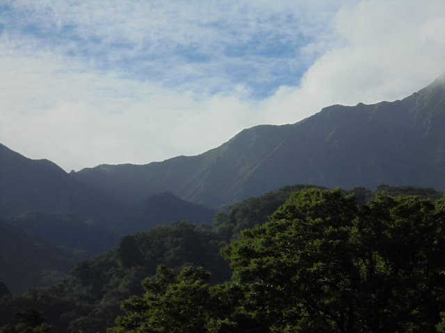 雄大な大山の眺望