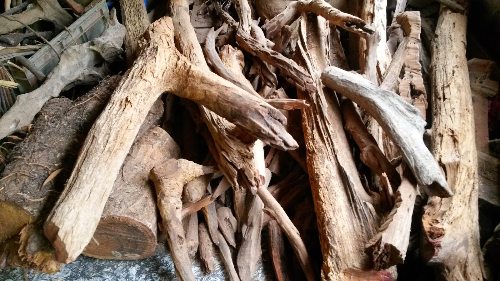 Celoteh Adkdayah: Rumah Herba & Akar kayu