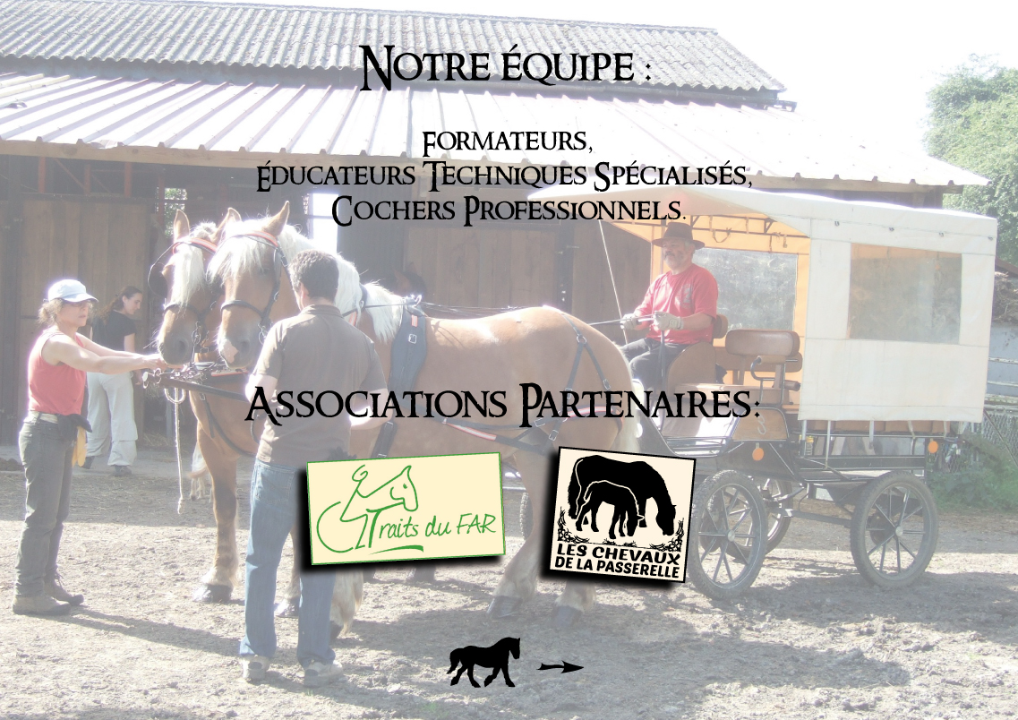 http://danslepasduncheval.blogspot.fr/p/les-tarifs-exemples.html