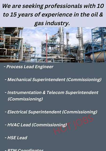 We are seeking professionals with 10 to 15 years of experience in the oil & gas industry.