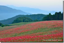 DSC_1651_00680