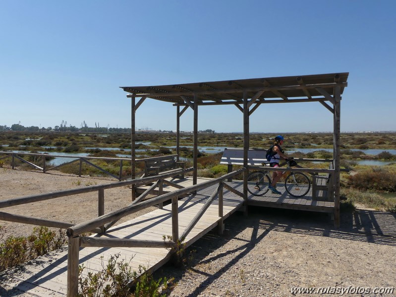 Bici Cádiz - Puerto de Santa María - Puerto Real - San Fernando - Cádiz