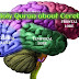 The Holy Quran about Cerebrum