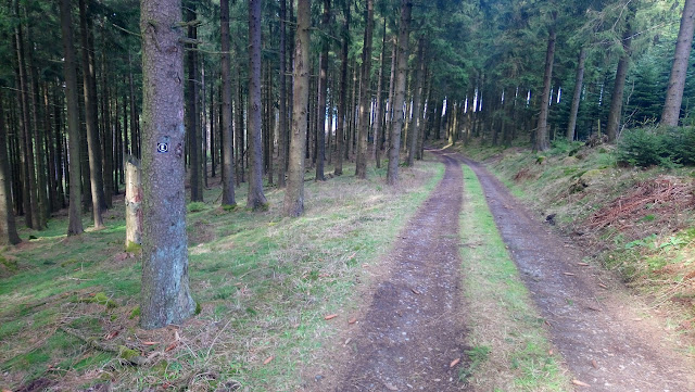 Sauerland wandern Wetter blog Eslohe Finnentrop Rundweg Homert