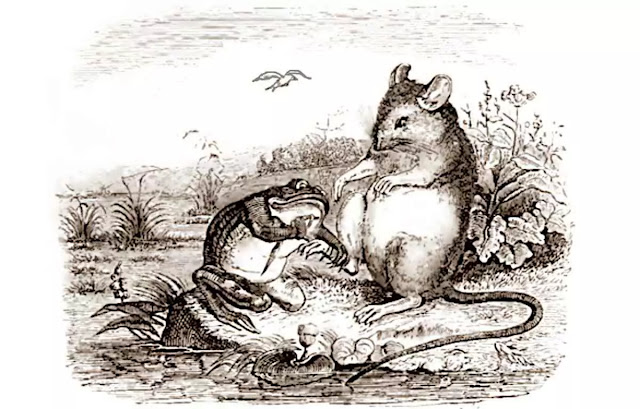 Frosch Ratte und Weihe - Fabel von Aesop - Streit Zank und Besitz