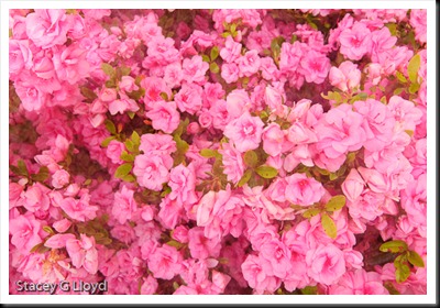 Blog_20100530_1-2