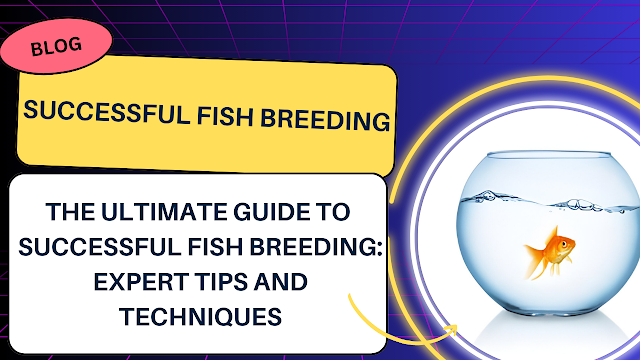 The Ultimate Guide to Successful Fish Breeding: Expert Tips and Techniques