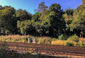 View across the railway.  Walk around the Hawkwood Estate 12, 30 August 2016.