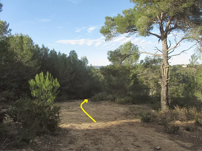 El Castellot-Puig de la Cogulla-Torre de Cal Pascol, camí en direcció a l'urbanització de la Talàia