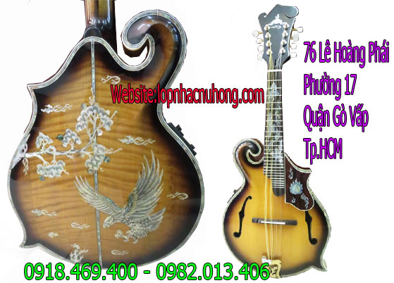 guitar binh tan 1