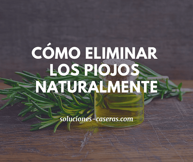 remedio natural para acabar con los piojos