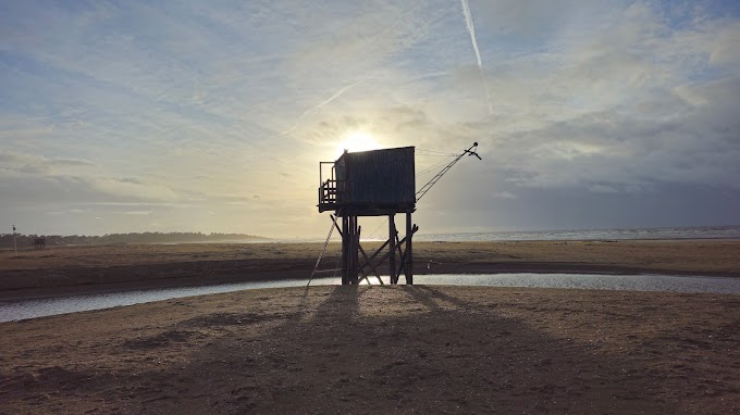 Balade argentique au Mamiya 645, un avant goût !