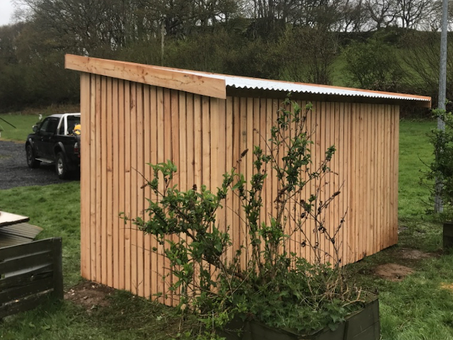 Larch sheds