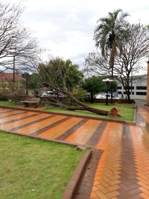 Temporal e chuva de granizo causam estragos em municípios do Pontal do Paranapanema