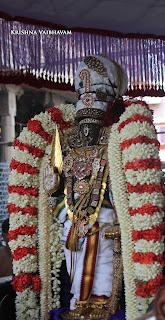 Kodai UTsavam,Thiruvallikeni, Sri PArthasarathy Perumal, Temple, 2017, Video, Divya Prabhandam,Utsavam,