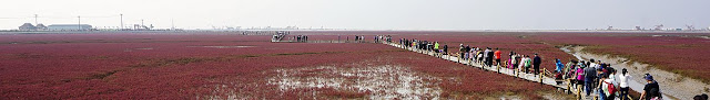 Red Beach in China