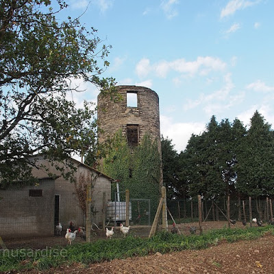 Moulin de Tru la chapelle de brain 35