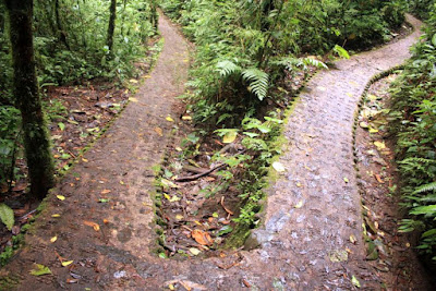 Selvatura Park en Monteverde