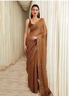 Bollyclues saree design