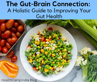 The Gut-Brain Connection  A Holistic Guide to Improving Your Gut Health