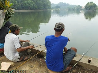 Umpan Serbuk Ikan Nila Top Seller