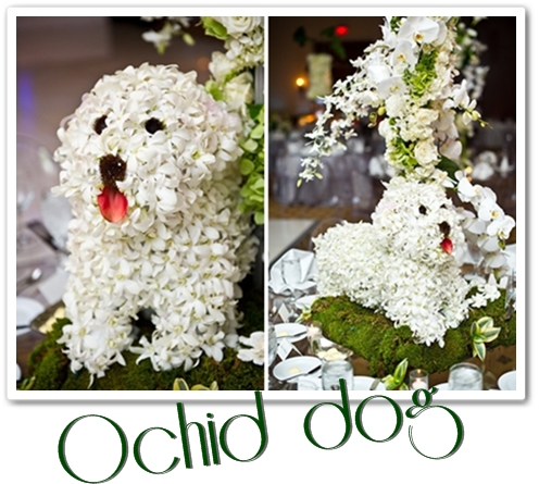 orchid dog, blomster hund