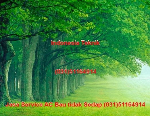 Service AC Sidoarjo Indonesia Teknik (031)51164914