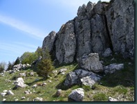 DSCN8474