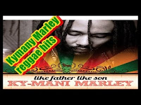 Ky-mani Marley - reggae roots