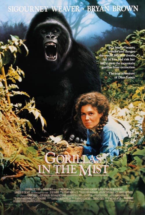 Watch Gorillas in the Mist 1988 Full Movie With English Subtitles