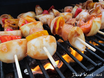 Shish Kabob Grilling