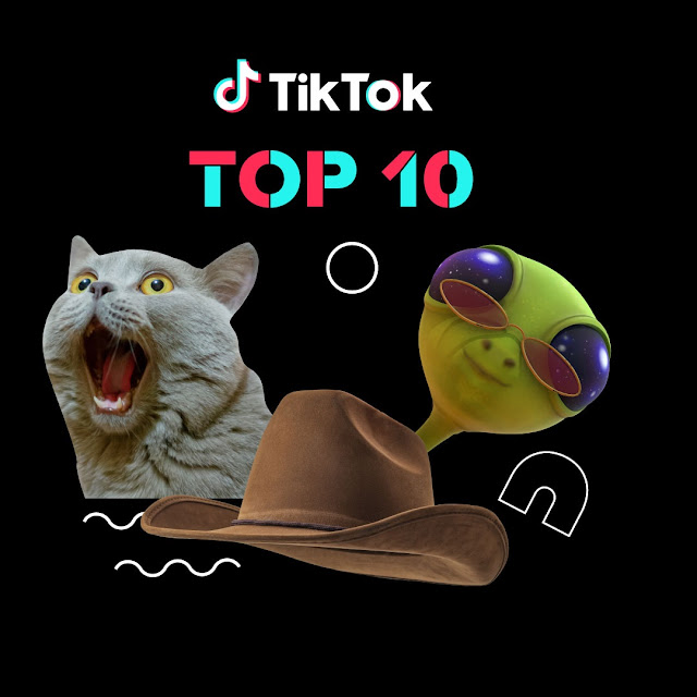 اكثر 10 فيديوهات مشاهدة على TikTok لسنة 2019