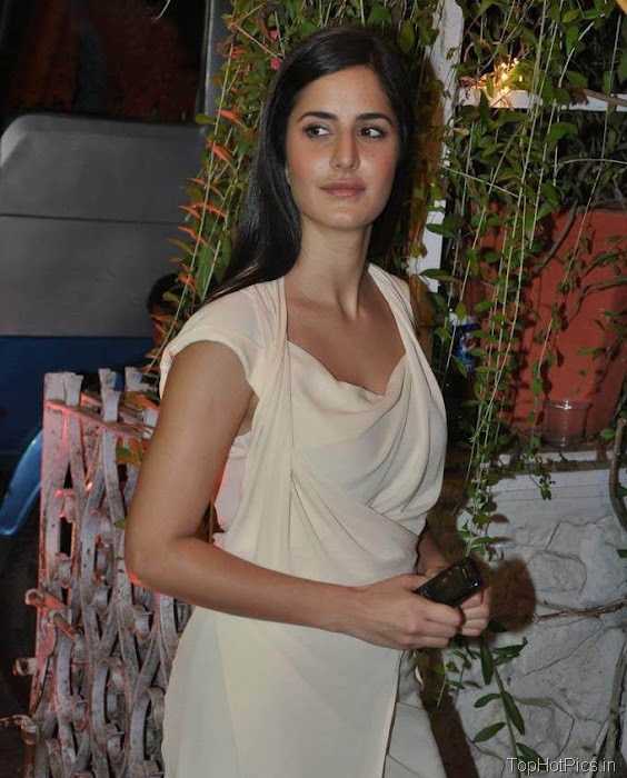 Katrina Kaif Beautiful Pics at Party 1