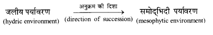 Solutions Class 12 जीव विज्ञान Chapter-14 (पारितन्त्र)