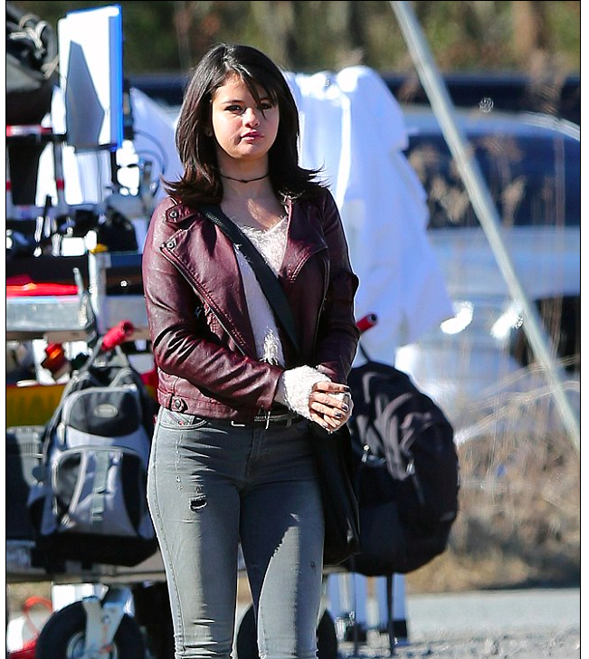 http://hiit-blog.dailyhiit.com/hiit-life/selena-gomez-branded-fat-pig-comment-trolls/